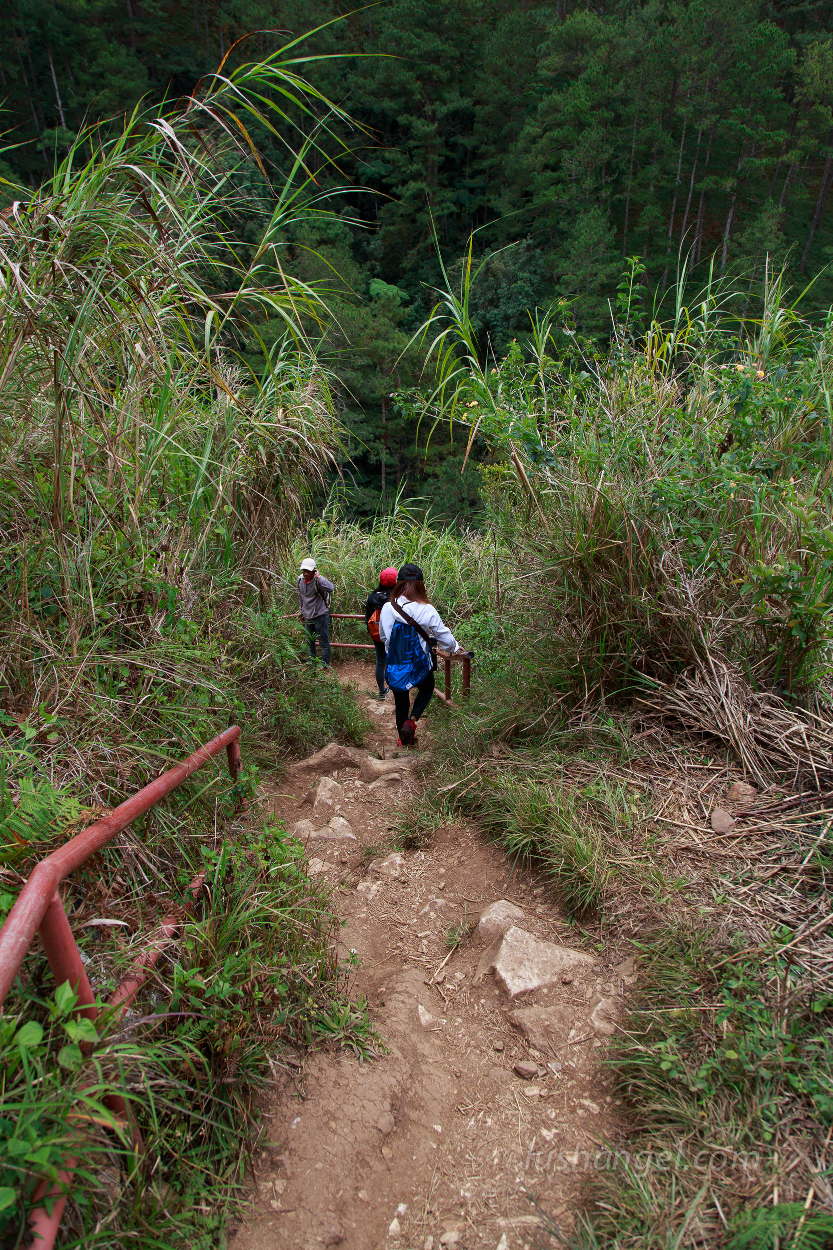 sagada-echo-valley-tour