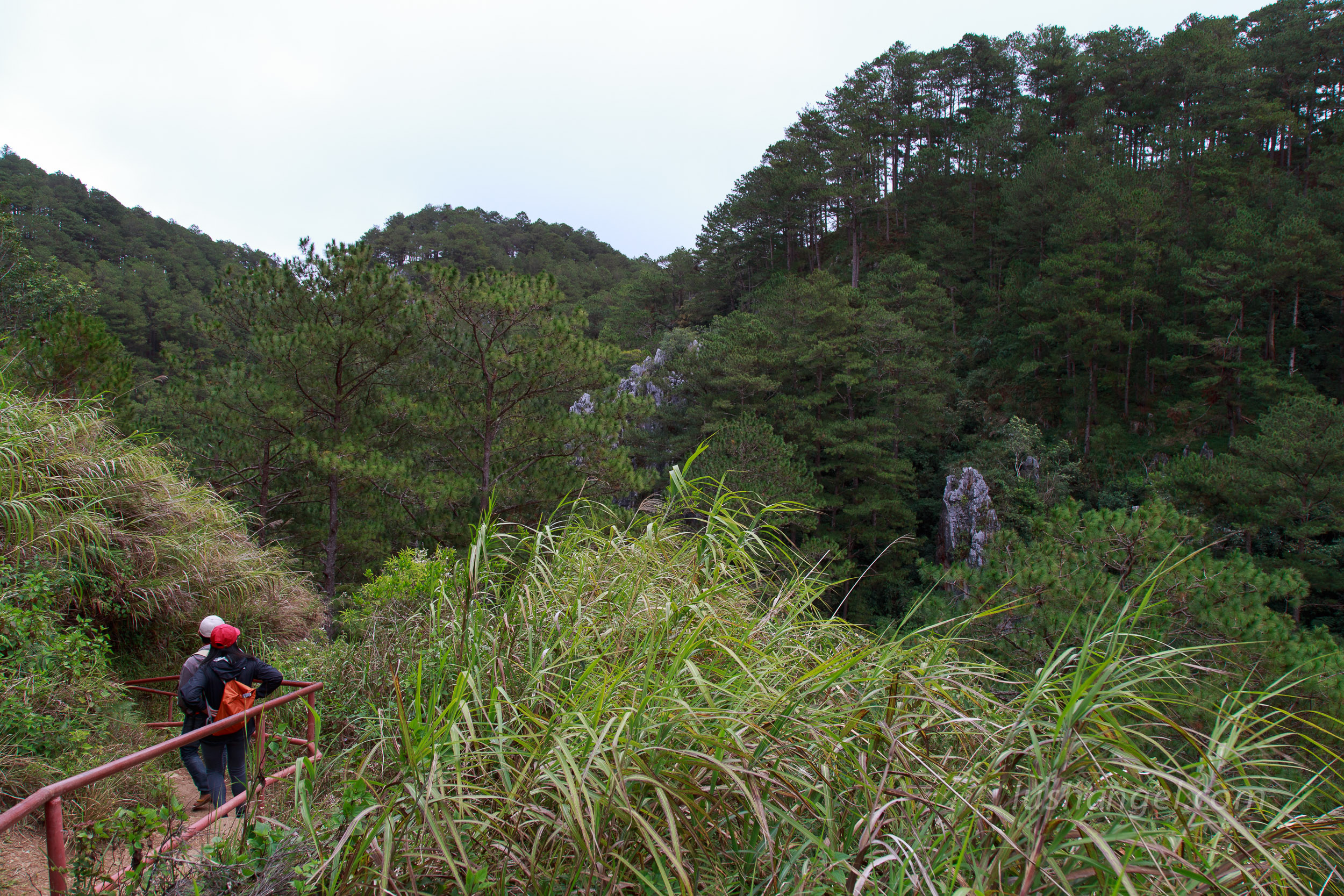 sagada-echo-valley-trail