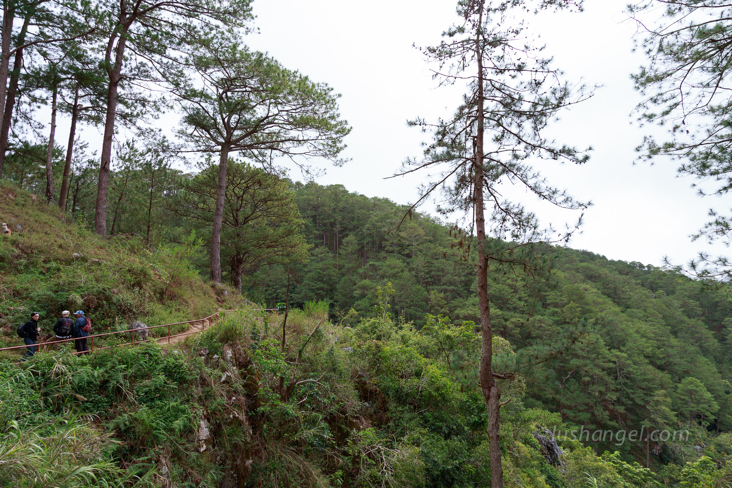 sagada-tour