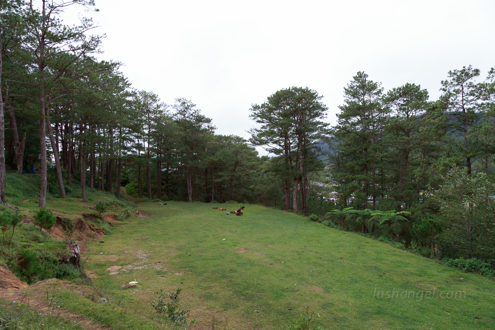 sagada-valley