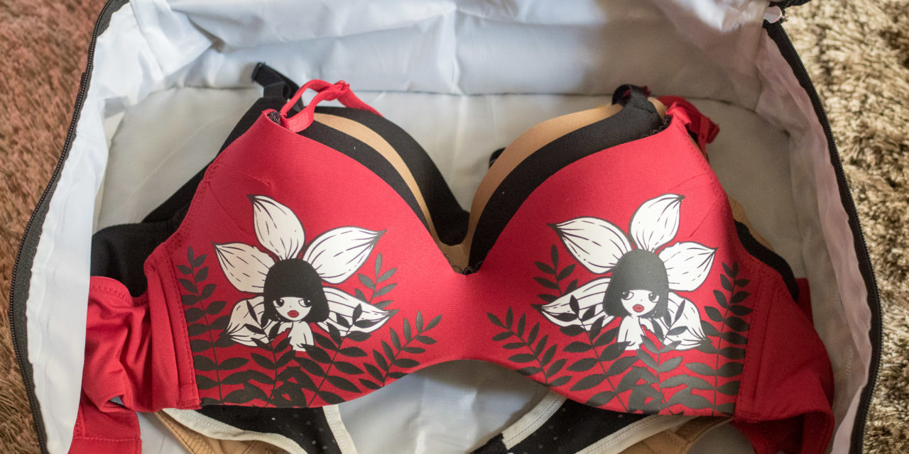 How To Pack Bras When Traveling
