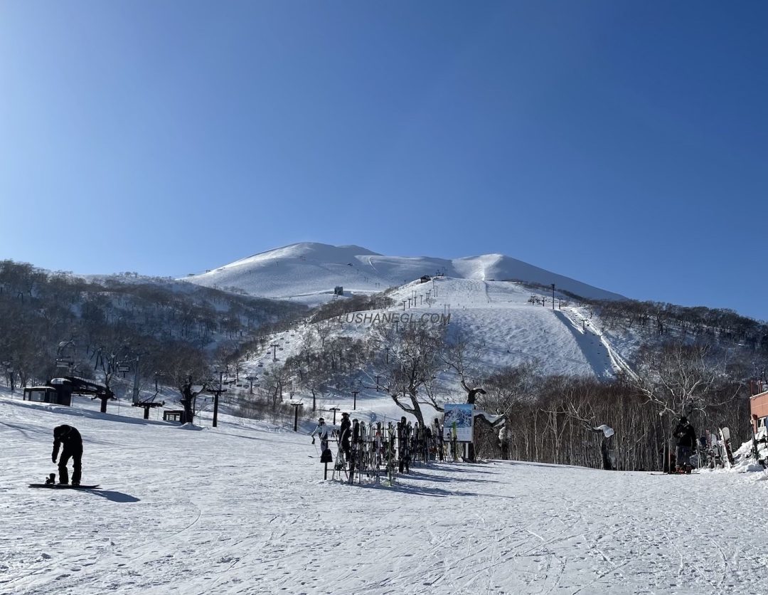 travel from sapporo to niseko